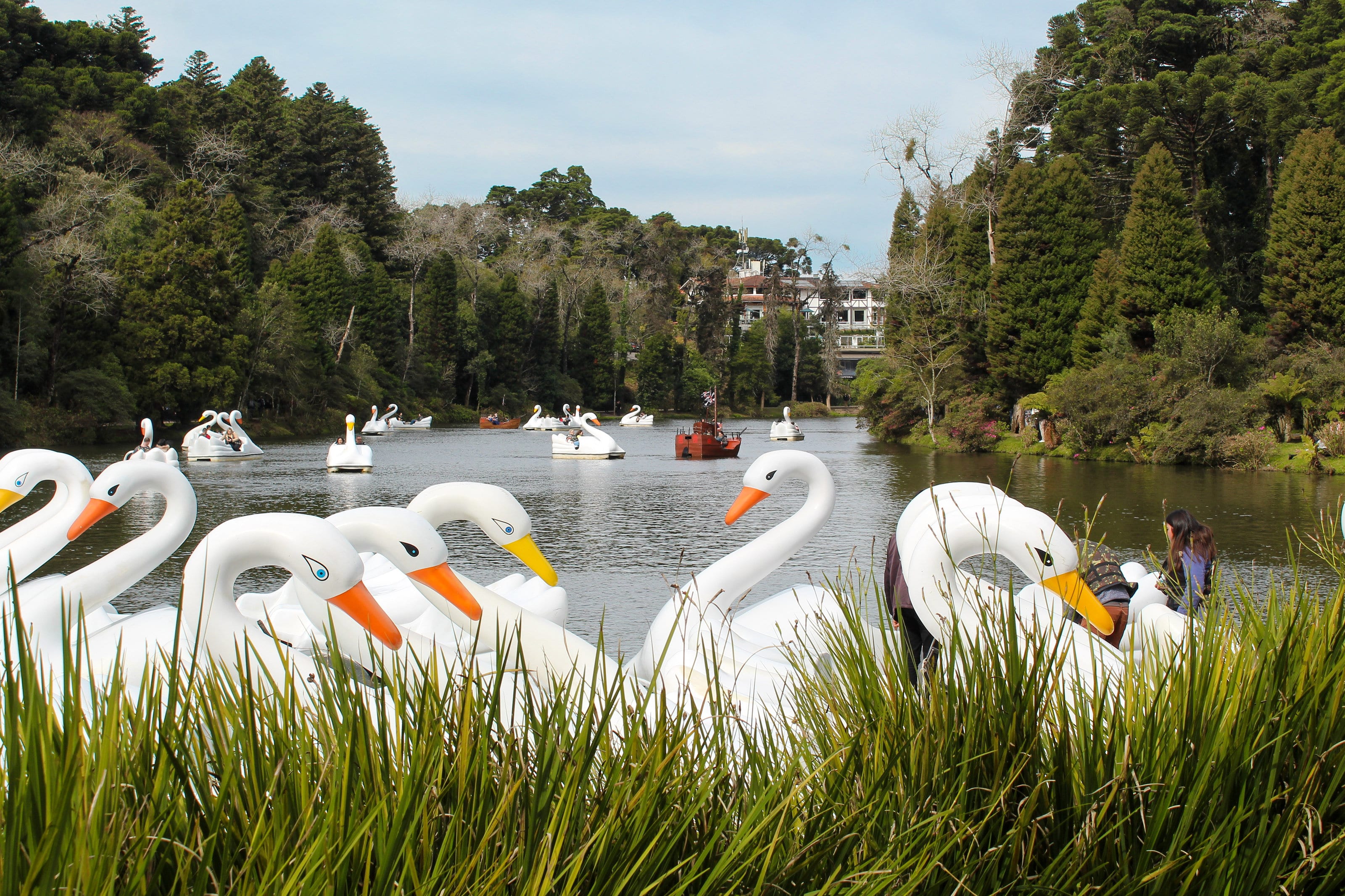 Pedalinhos em forma de cisne no Lago Negro, cercado de pinheiros, em Gramado.