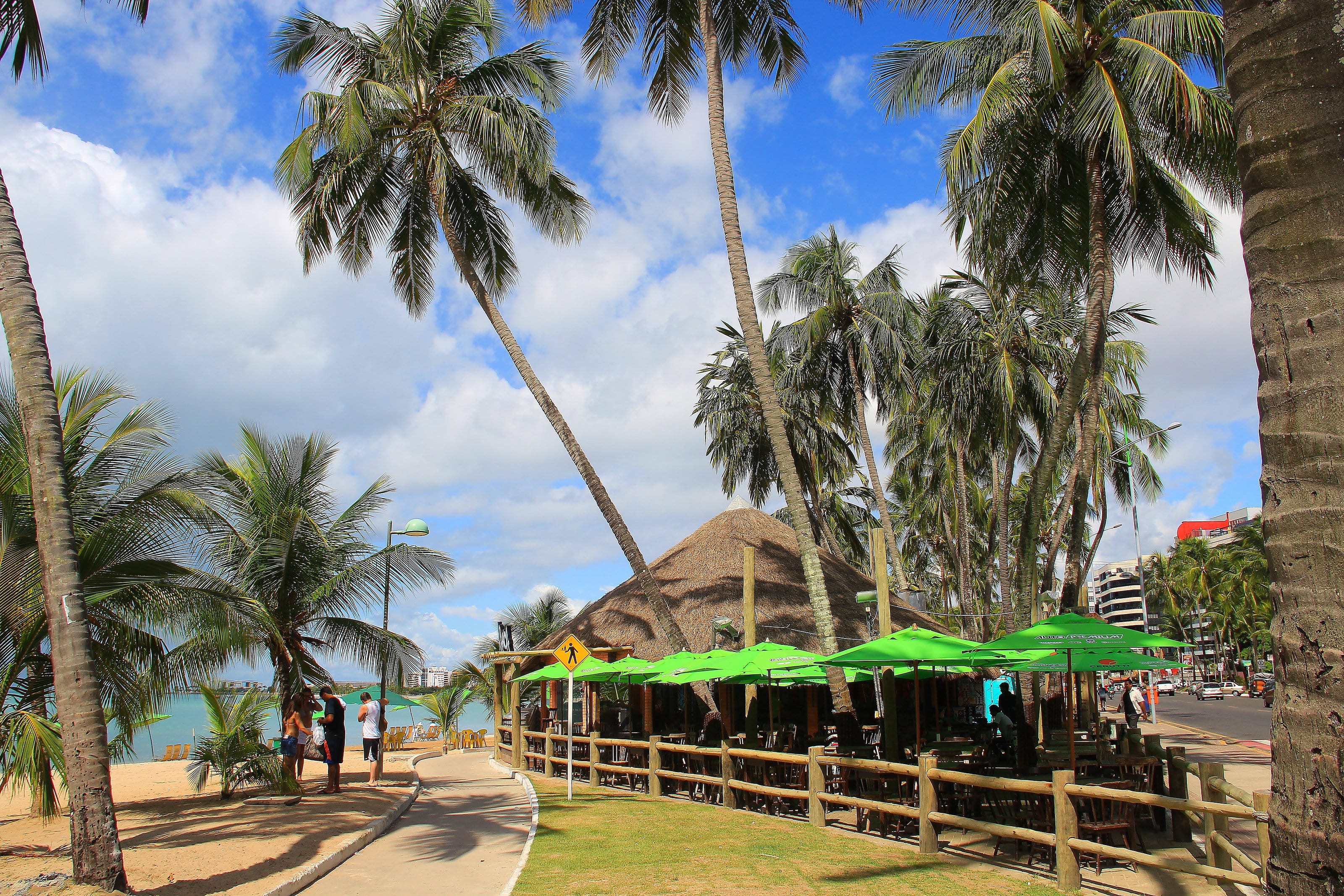 Coqueiros inclinados e quiosques à beira do mar, na praia da Ponta Verde, em Maceió.