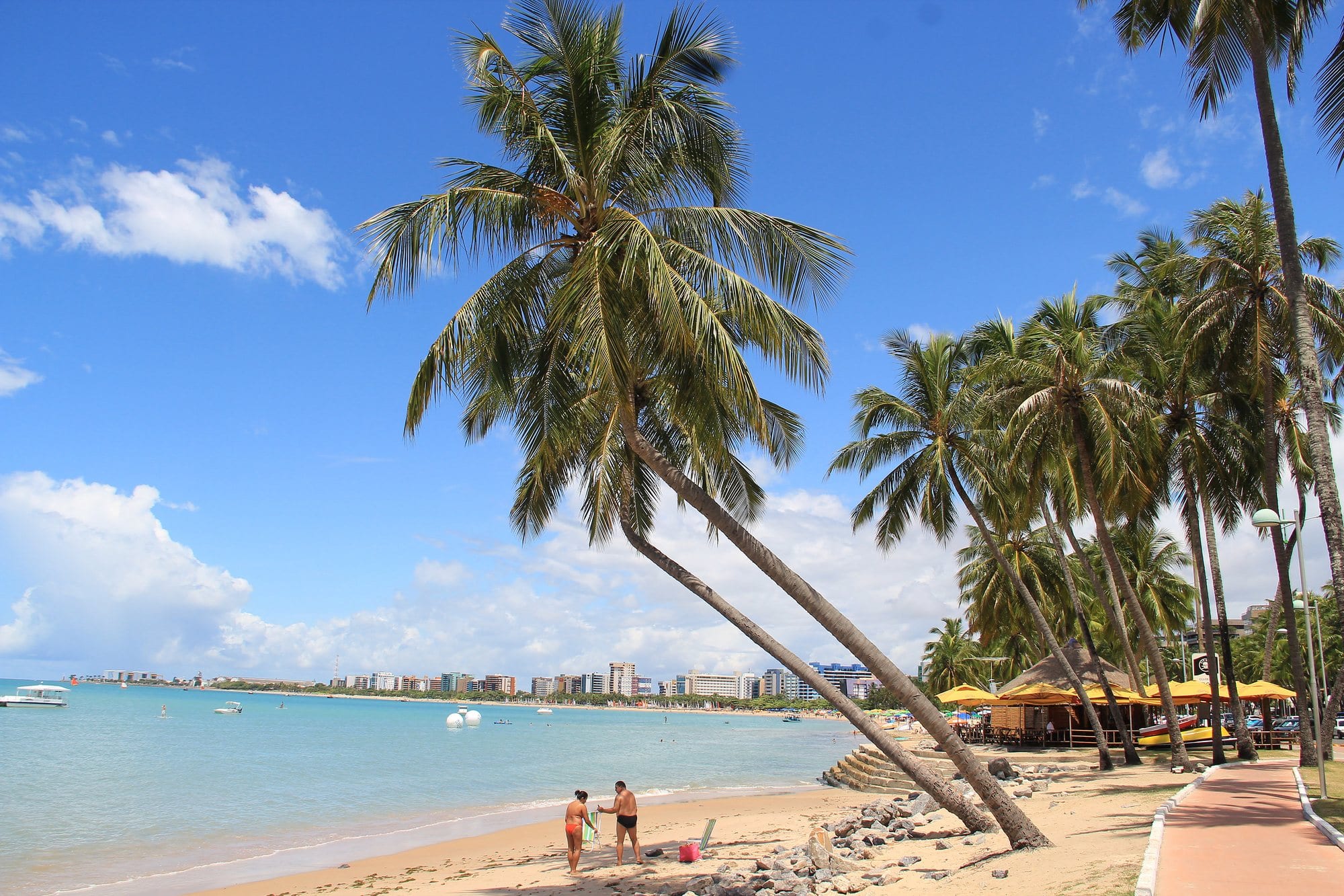 Coqueiros inclinados sobre a praia de Pajuçara, com o mar claro e a orla ao fundo, em Maceió.