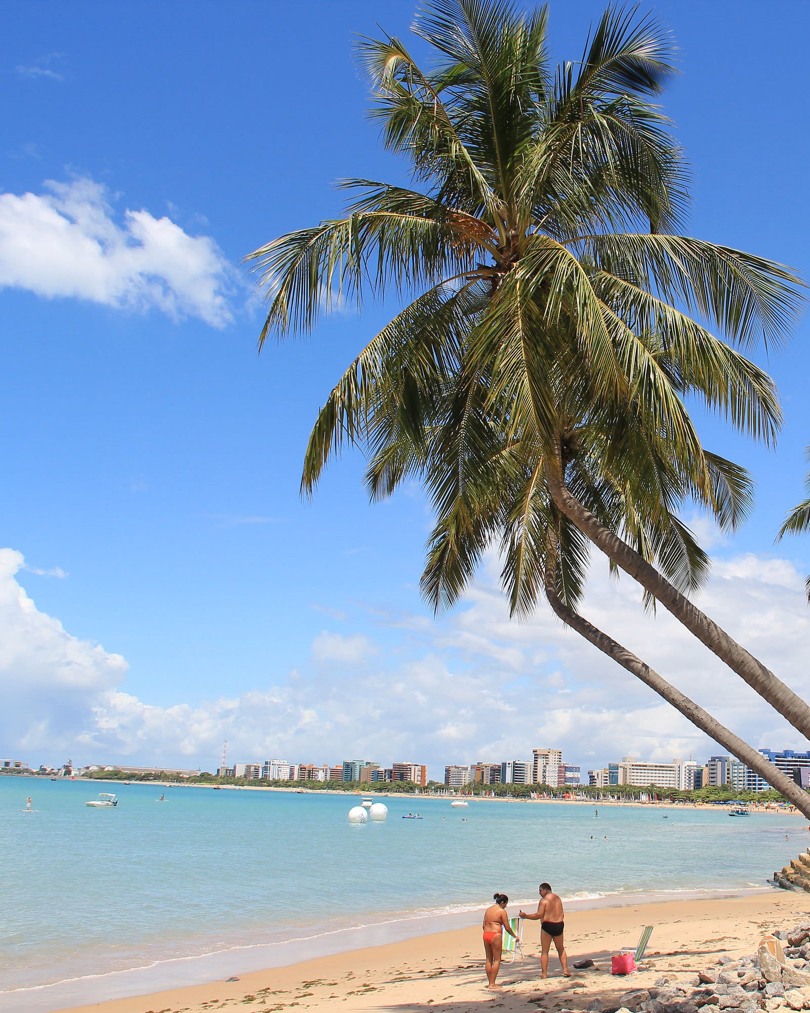Coqueiros inclinados sobre a praia de Pajuçara, com o mar claro e a orla ao fundo, em Maceió.